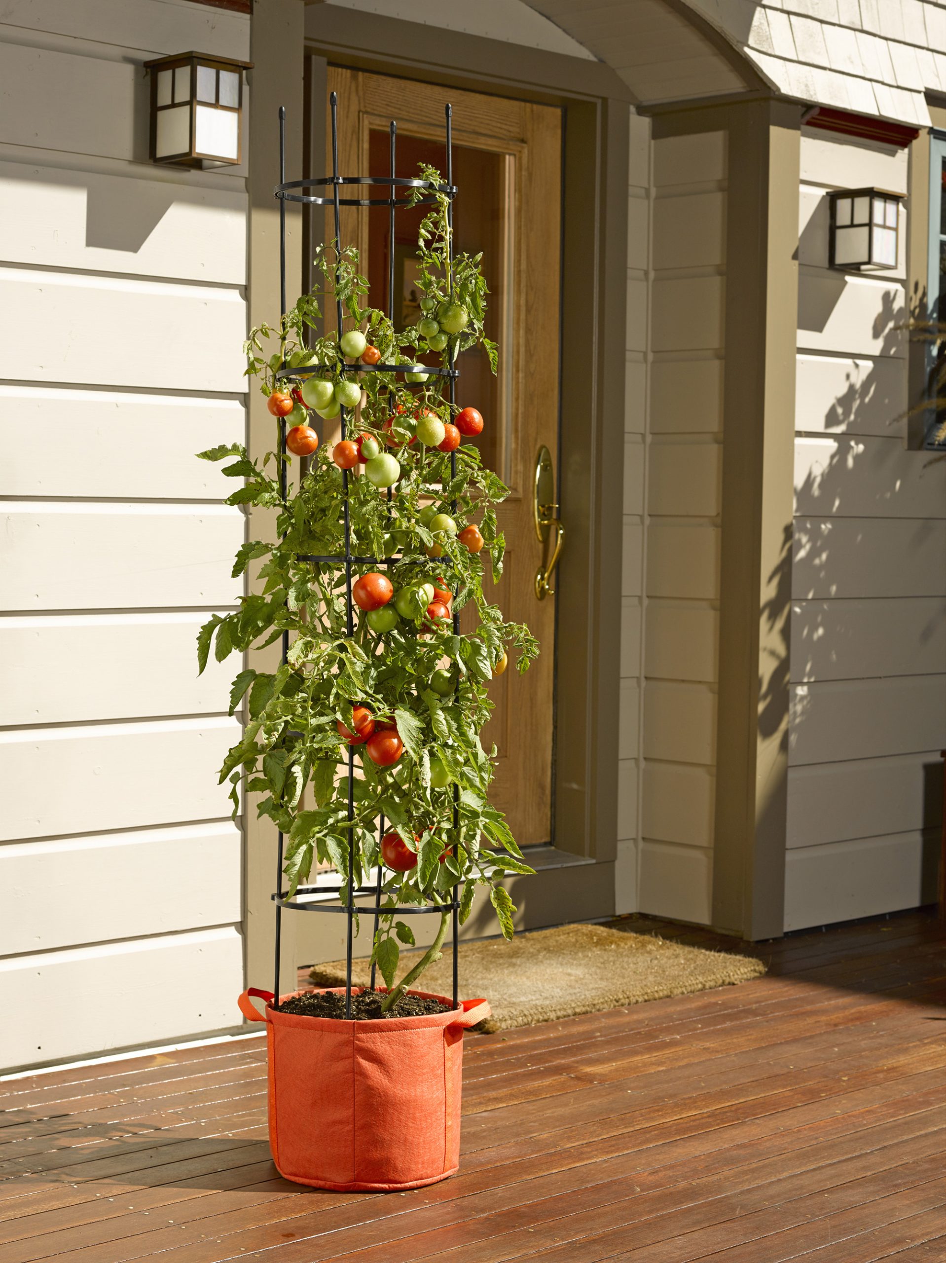 8590013PP_148_tomato-grow-bag-kit-with-handles-and-cage-scaled.jpg