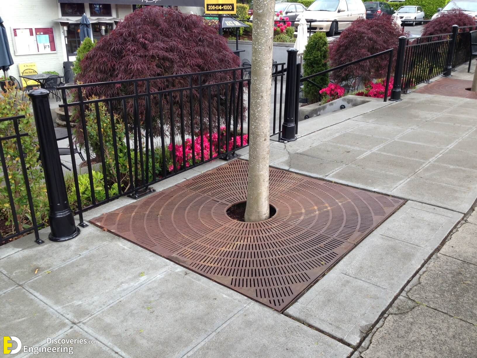 Kiva-Tree-Grate-1.jpg