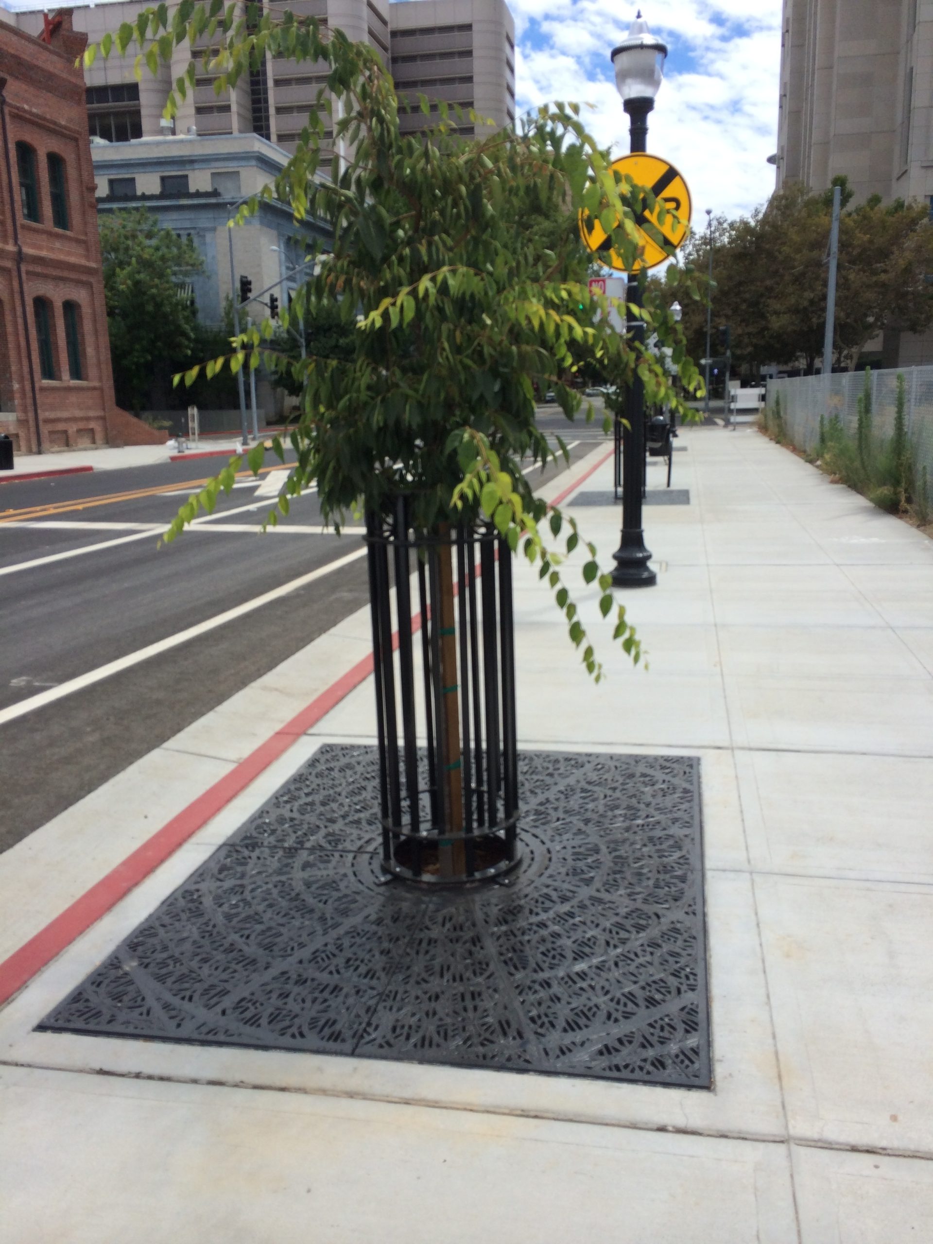 OT-T24-Tree-Grate-scaled.jpg