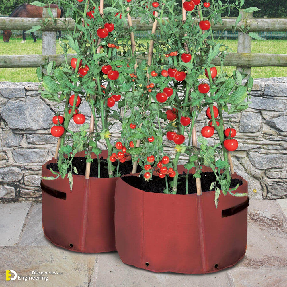 Tomato-Planters.jpg