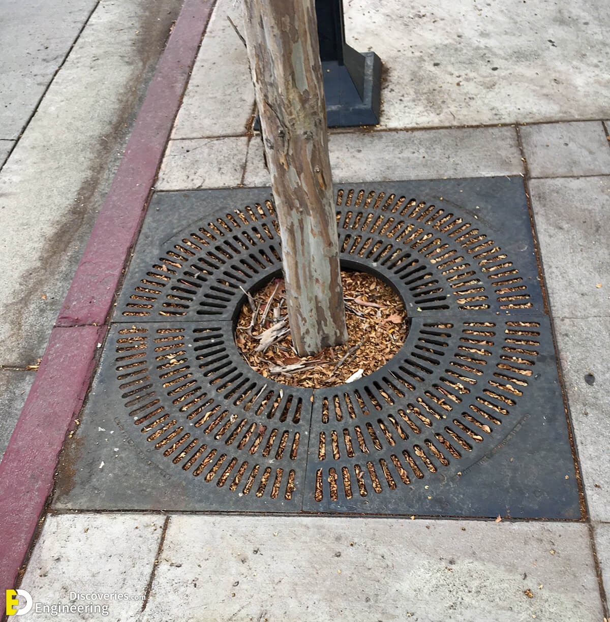 filled-tree-grate.jpg
