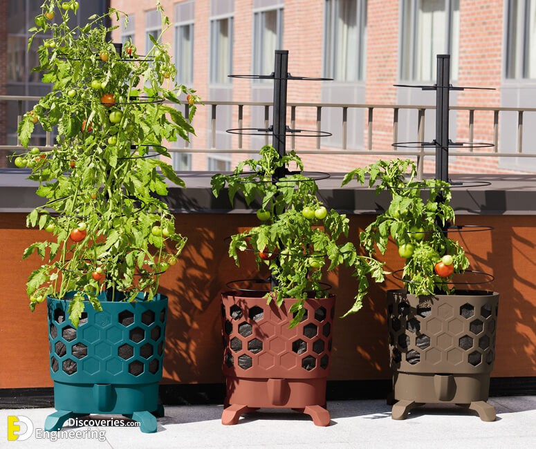 gardeners-revolution-self-watering-tomato-planter-with-support-rings-xl.jpg