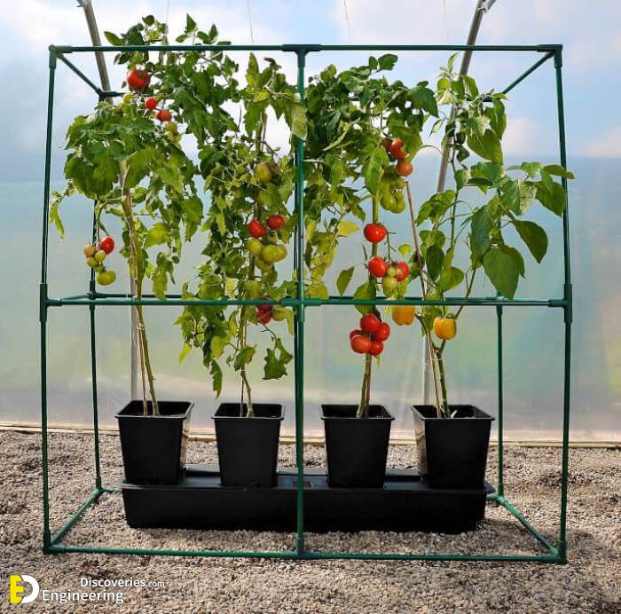 quadgrow_slim_frame_2_2.jpg