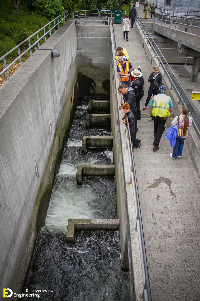 Types Of Fish Ladders at Loretta Leon blog