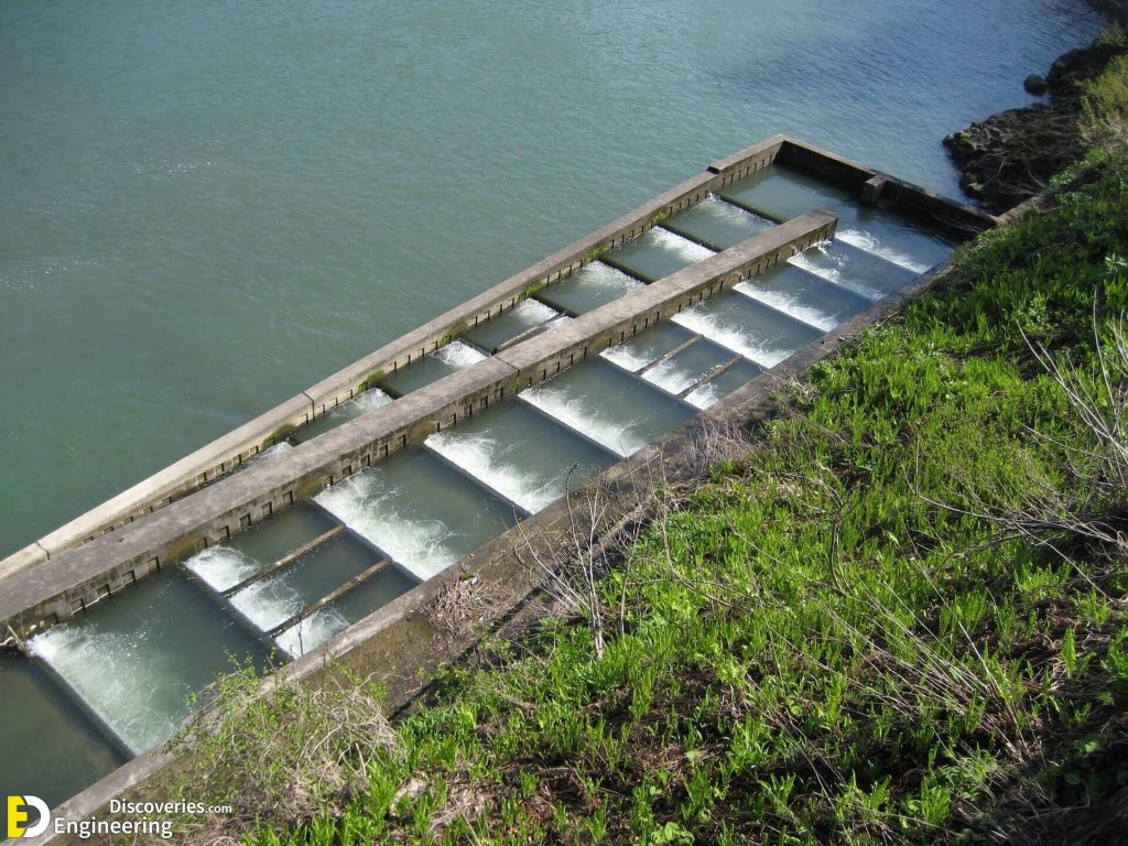 Different Types Of Fish Ladders (Fishways) Engineering Discoveries