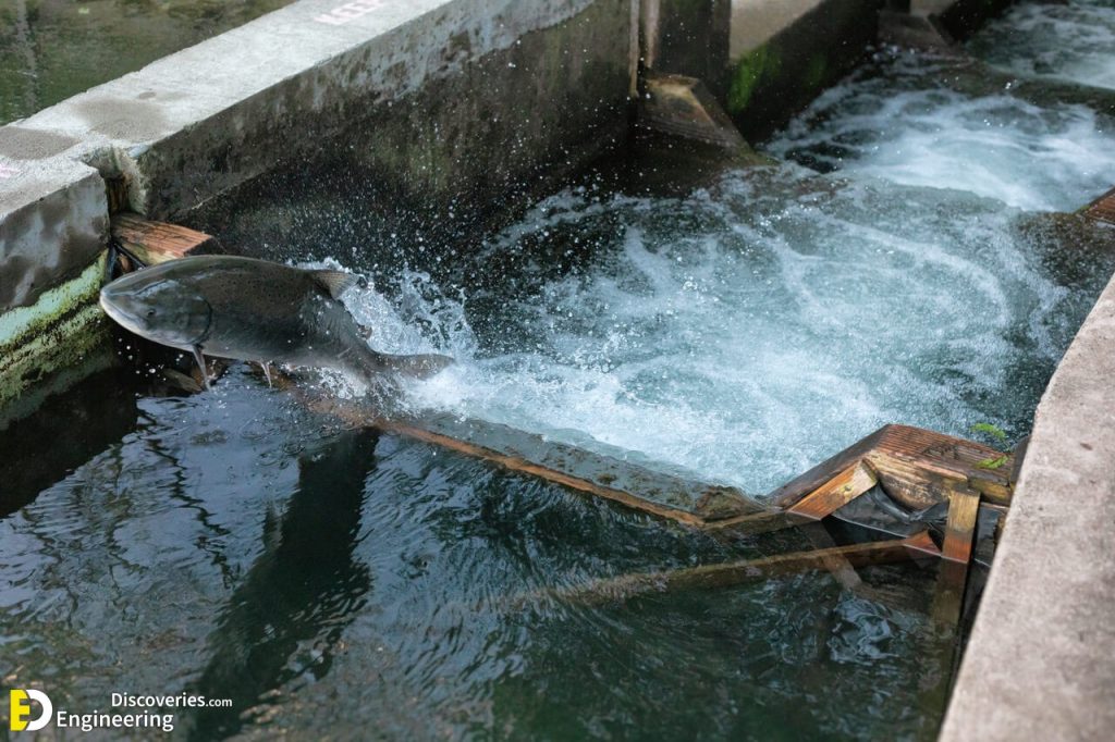 Different Types Of Fish Ladders Fishways Engineering Discoveries