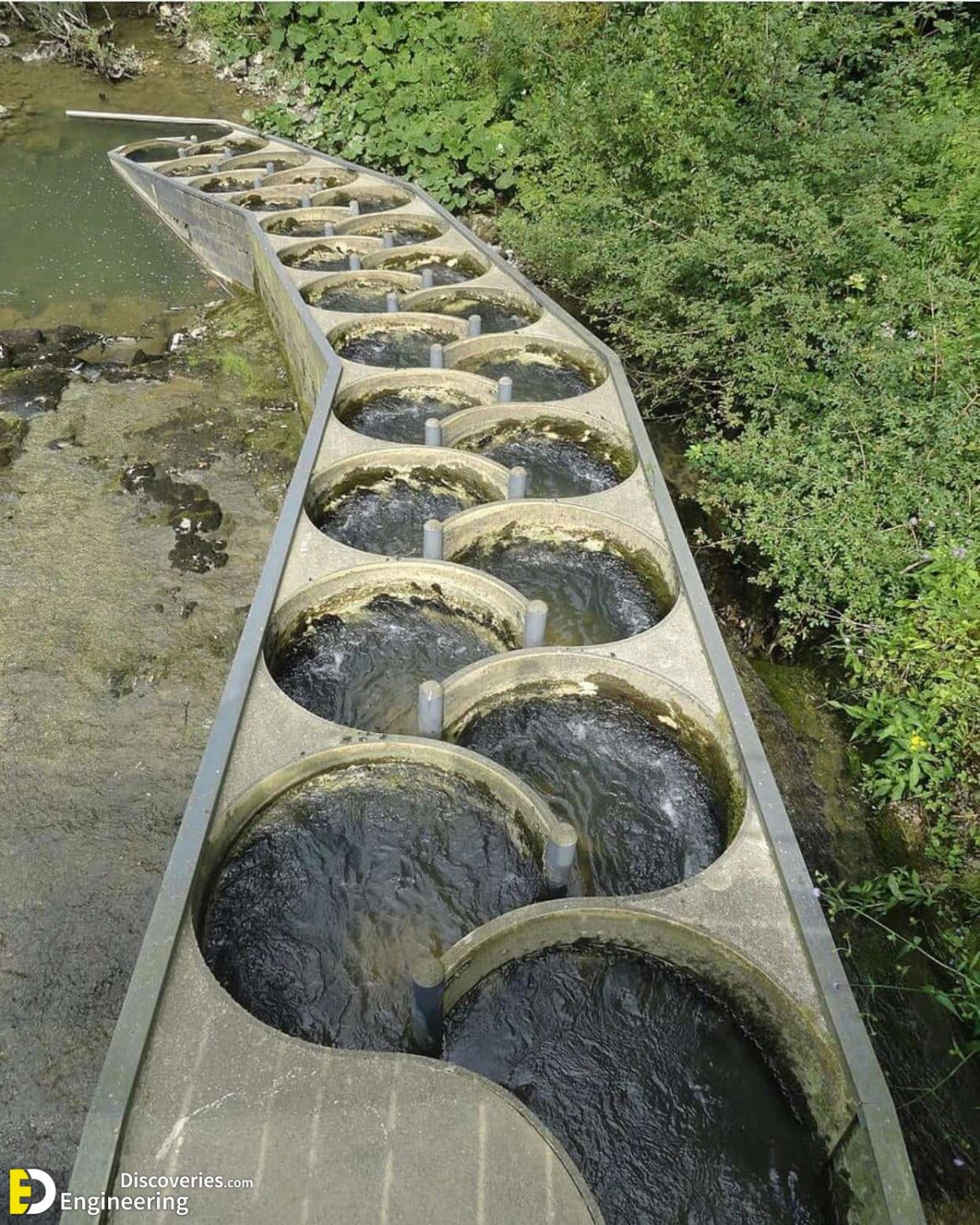 Different Types Of Fish Ladders (Fishways) - Engineering Discoveries
