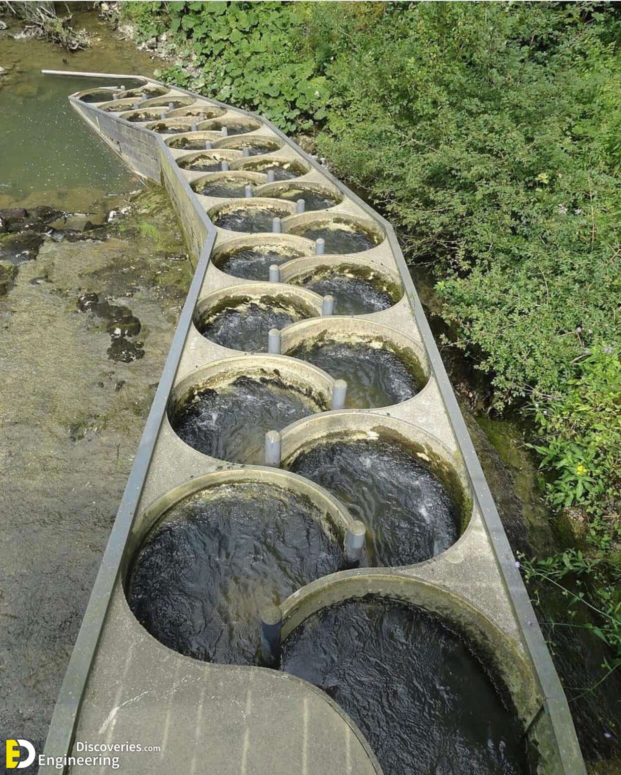 Different Types Of Fish Ladders (Fishways) Engineering Discoveries