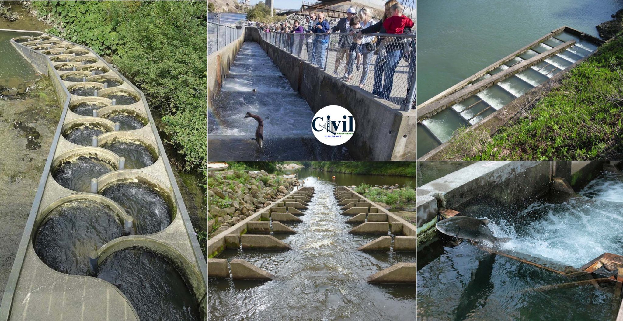 Different Types Of Fish Ladders (Fishways) Engineering