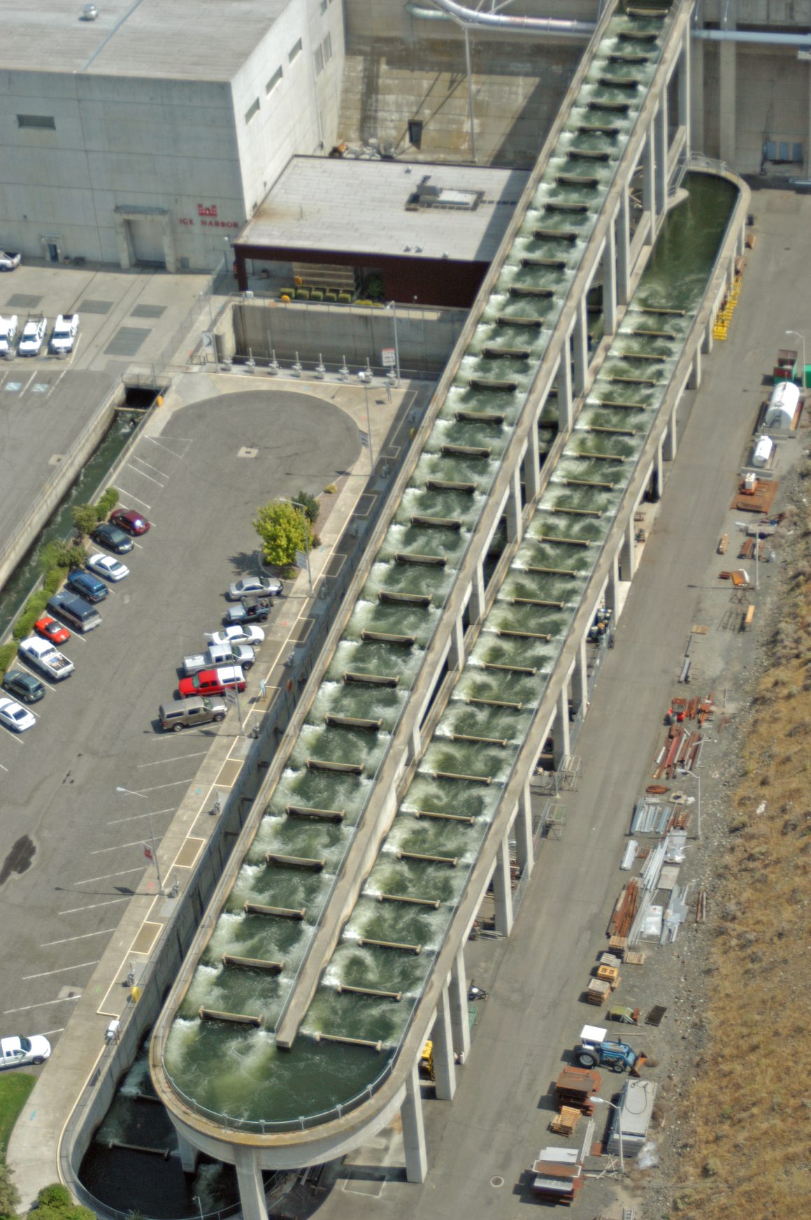 Different Types Of Fish Ladders (Fishways) Engineering Discoveries