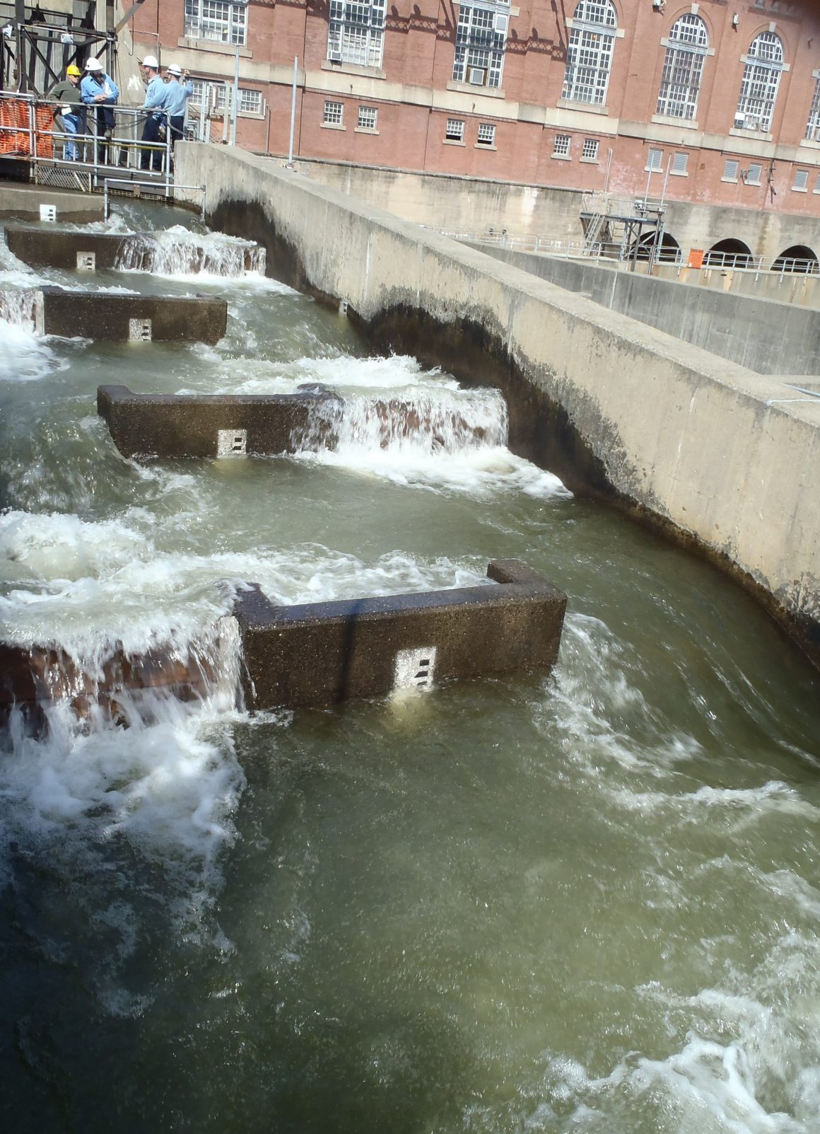 Different Types Of Fish Ladders (Fishways) Engineering Discoveries