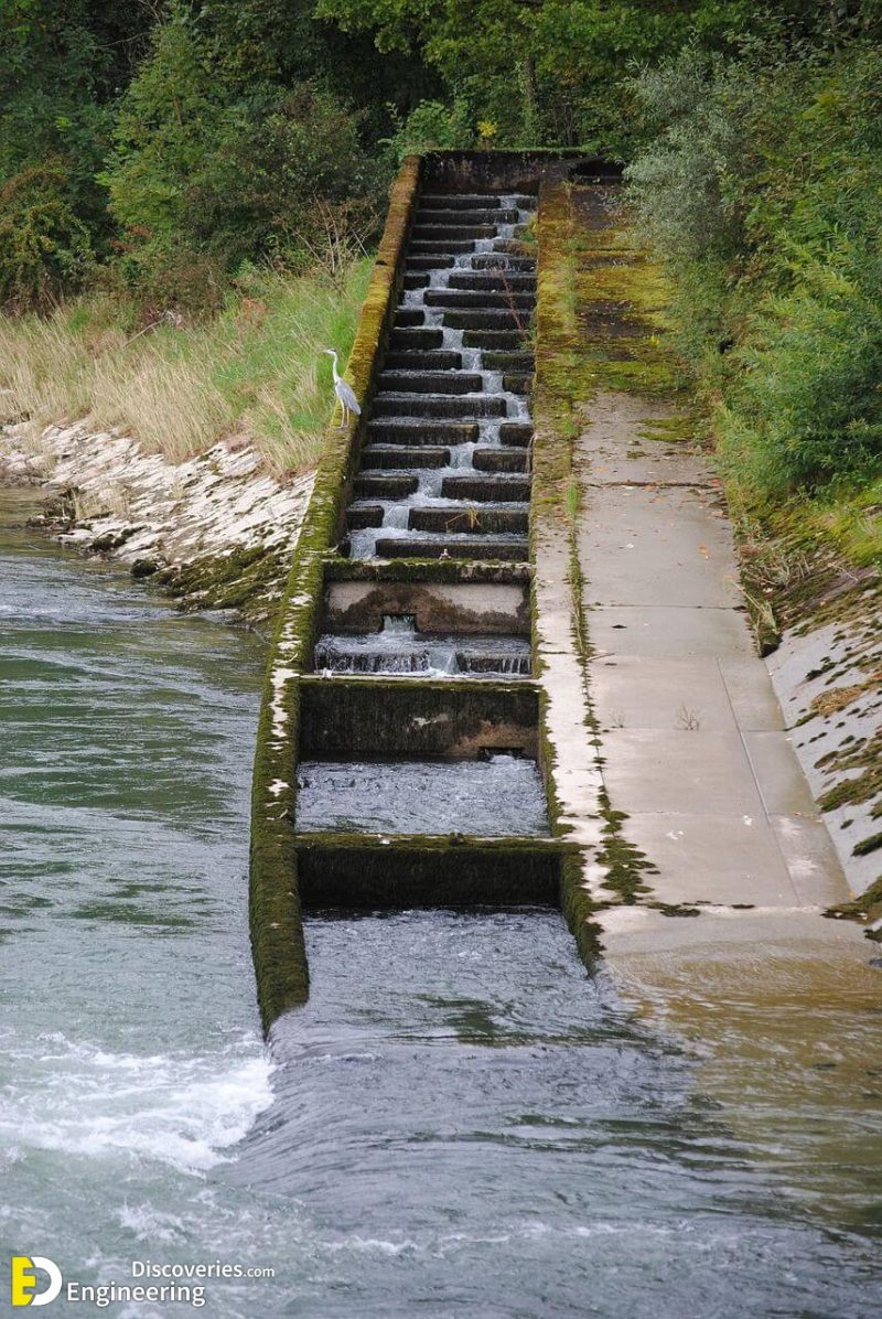 Different Types Of Fish Ladders (Fishways) Engineering Discoveries