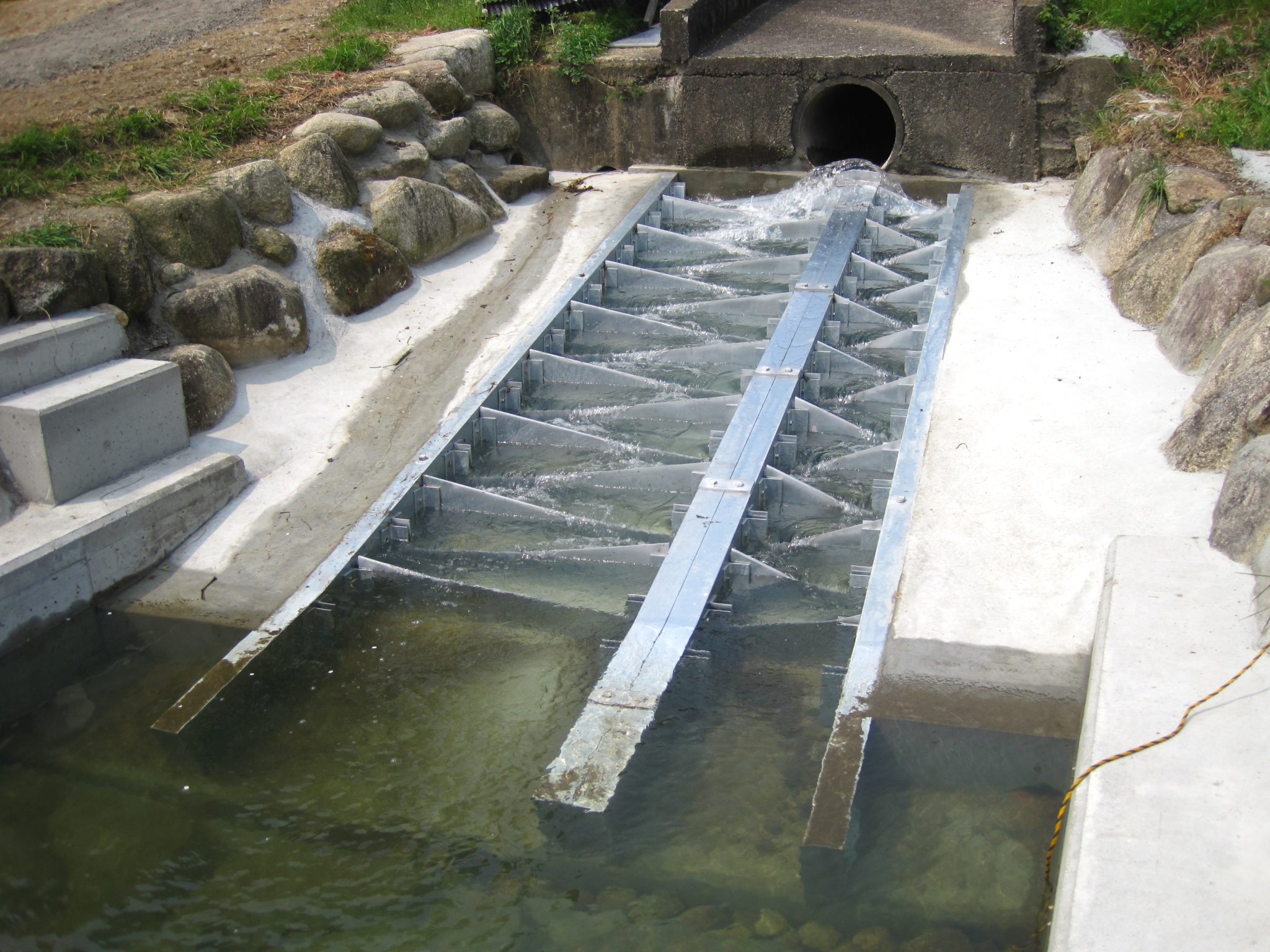 Different Types Of Fish Ladders (Fishways) Engineering Discoveries