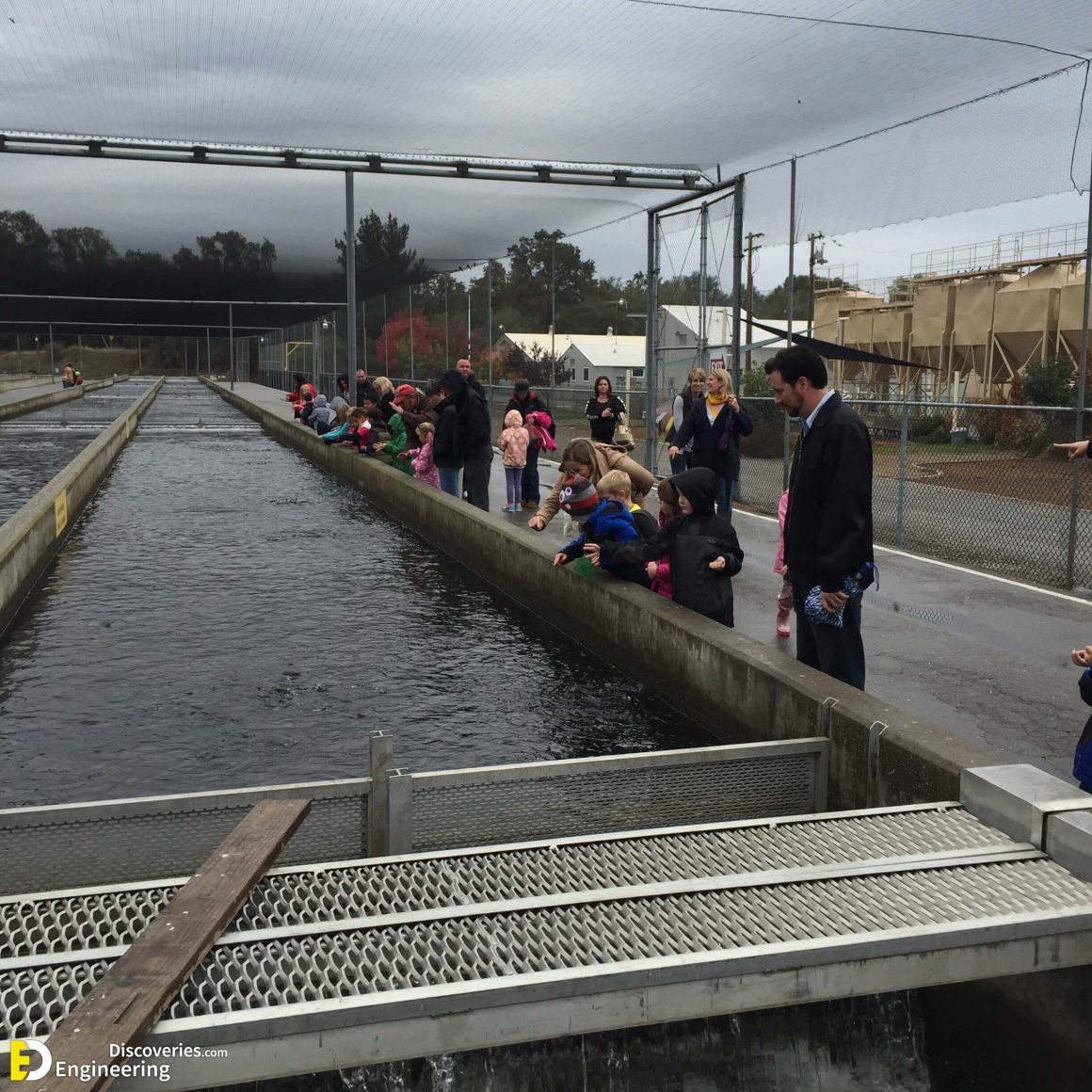 Different Types Of Fish Ladders (Fishways) - Engineering Discoveries
