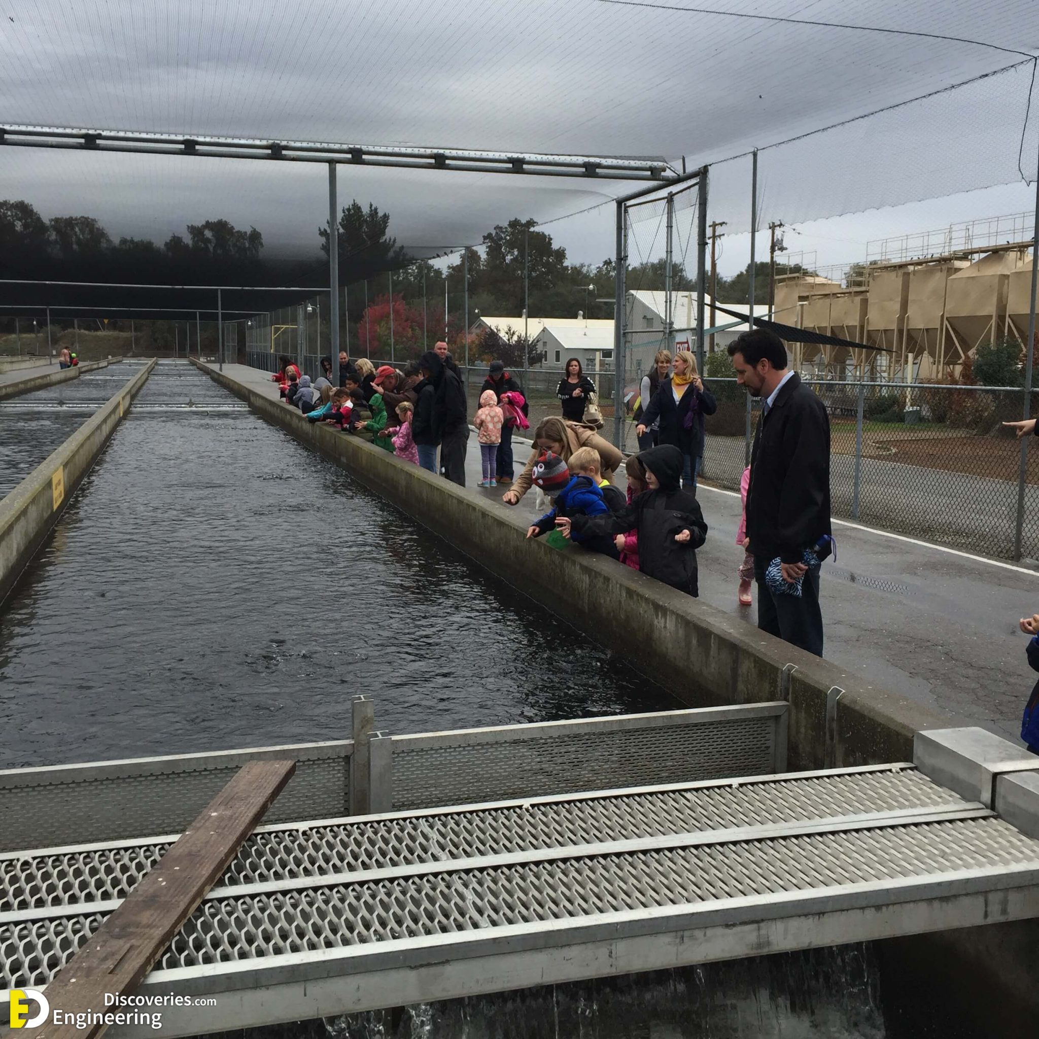 Different Types Of Fish Ladders (Fishways) Engineering Discoveries
