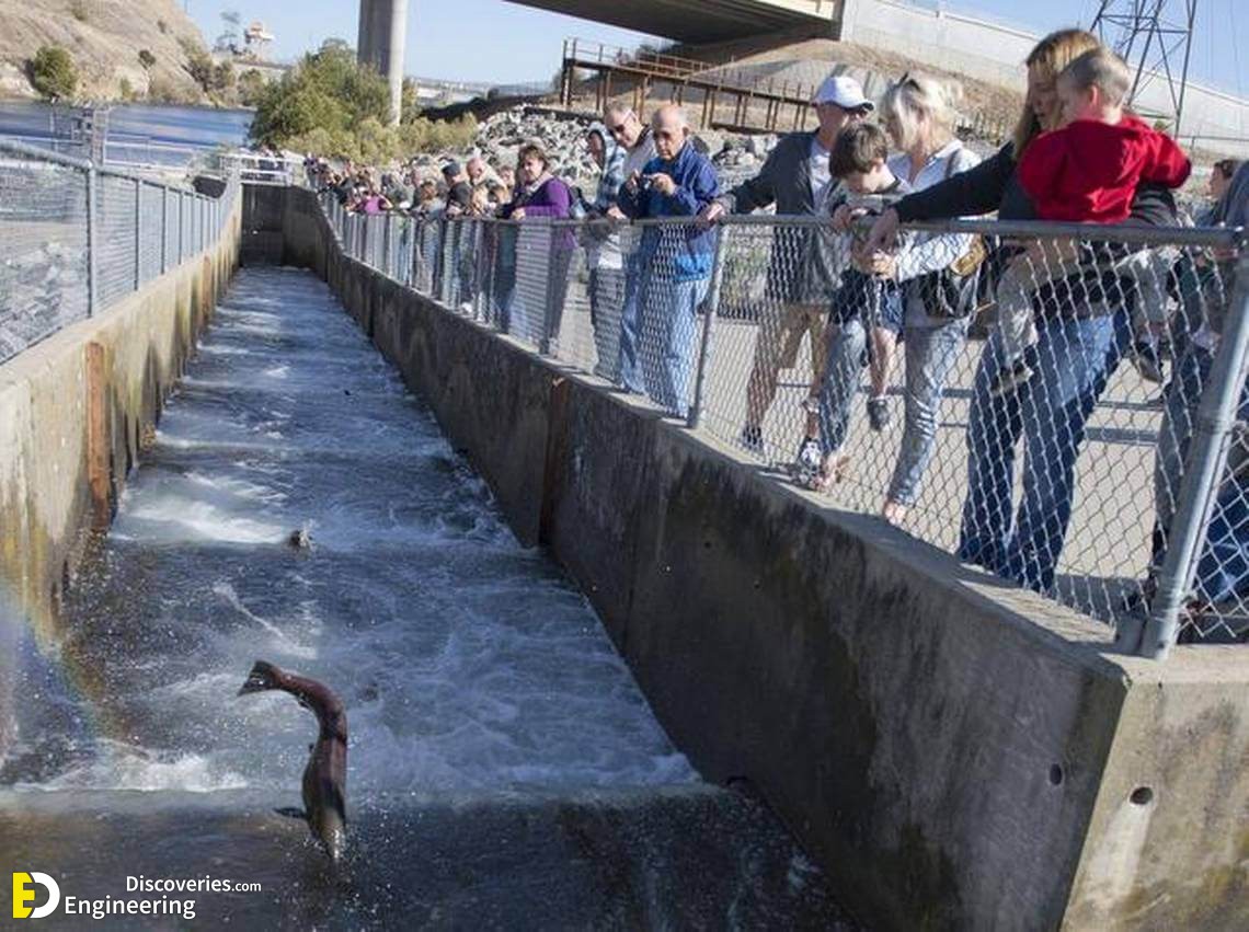 Different Types Of Fish Ladders Fishways Engineering Discoveries