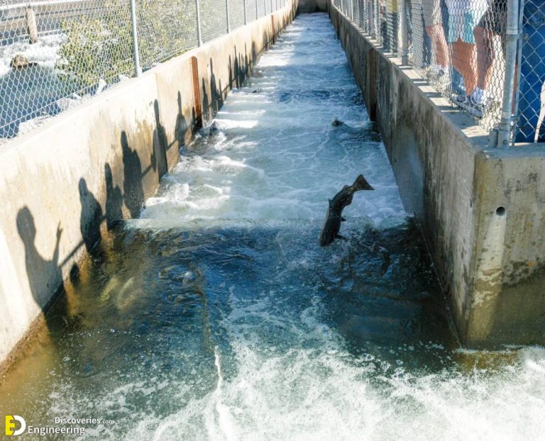 Different Types Of Fish Ladders (Fishways) Engineering Discoveries