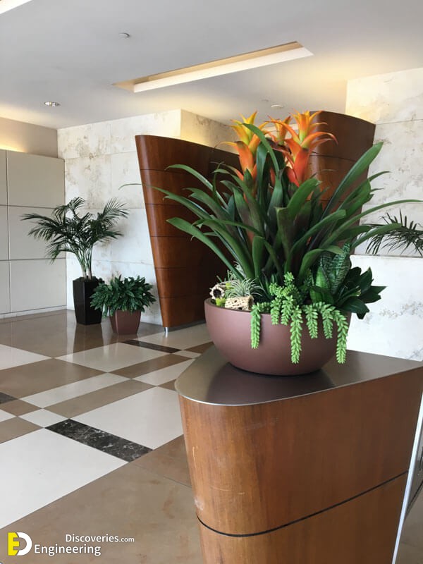 interior-plantscape-plants-for-businesses-san-diego-1.jpg