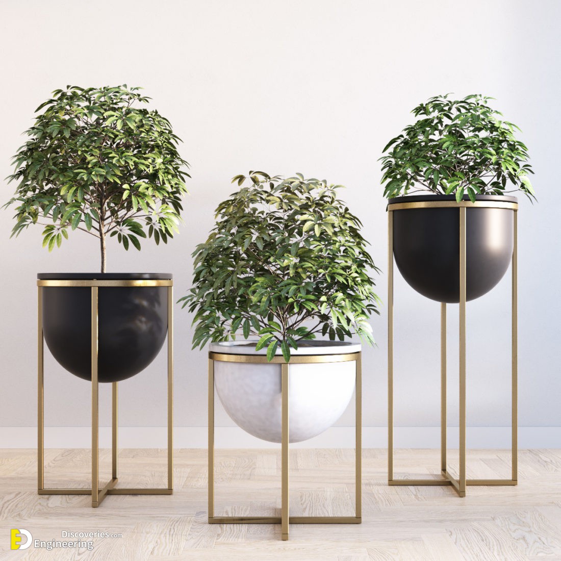 1147.Plant-3dsmax-File-free-download-scaled-1.jpg