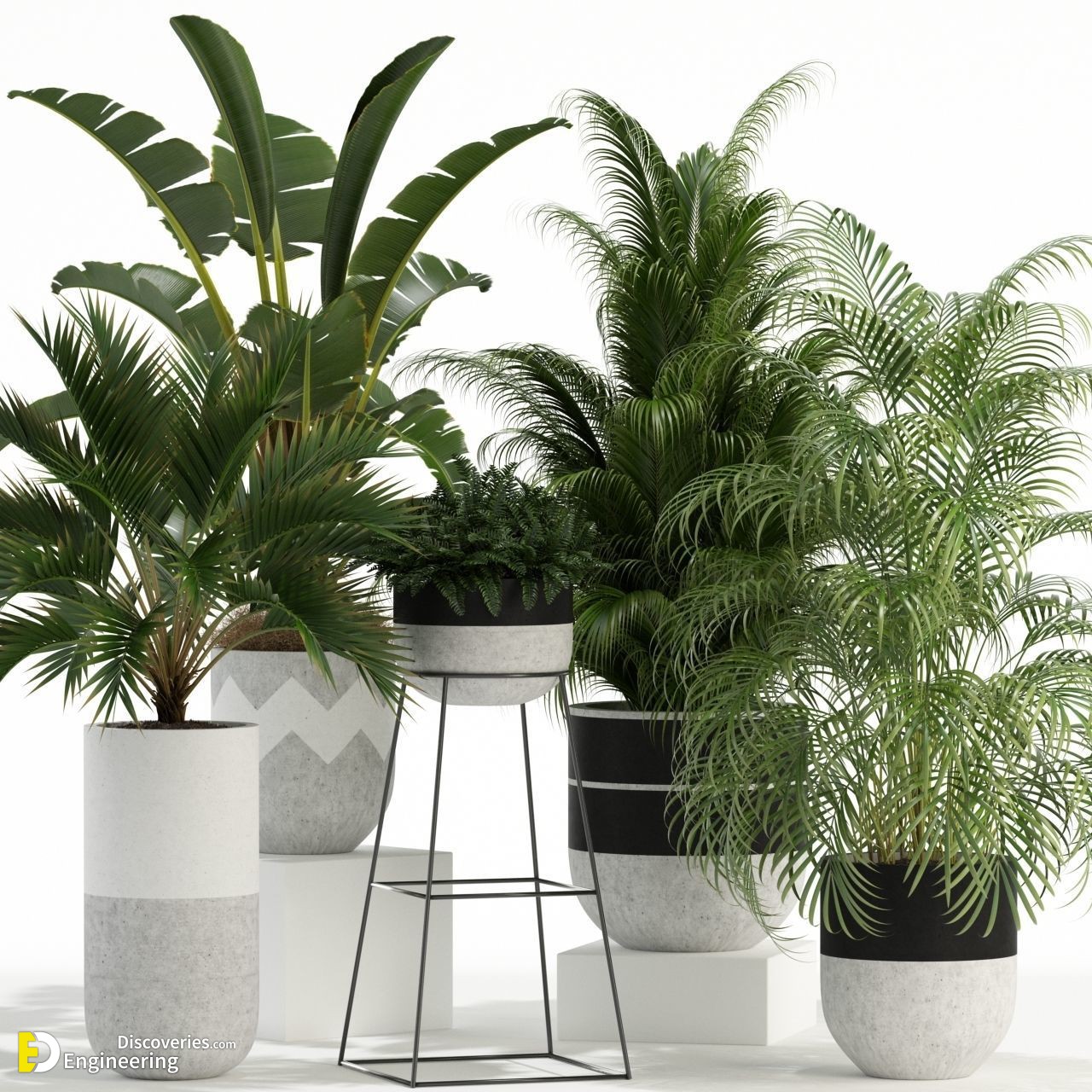 plants-collection-110-3d-model-max-obj-fbx.jpg