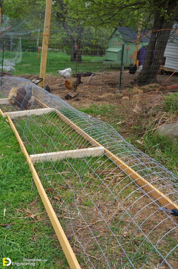 Moveable-Chicken-Tunnel-1.jpg