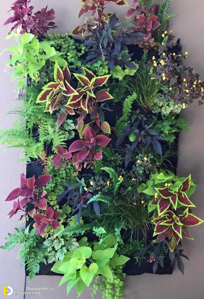 Fireside_24_pocket_living_wall_with_irrigation_1024x1024.jpg