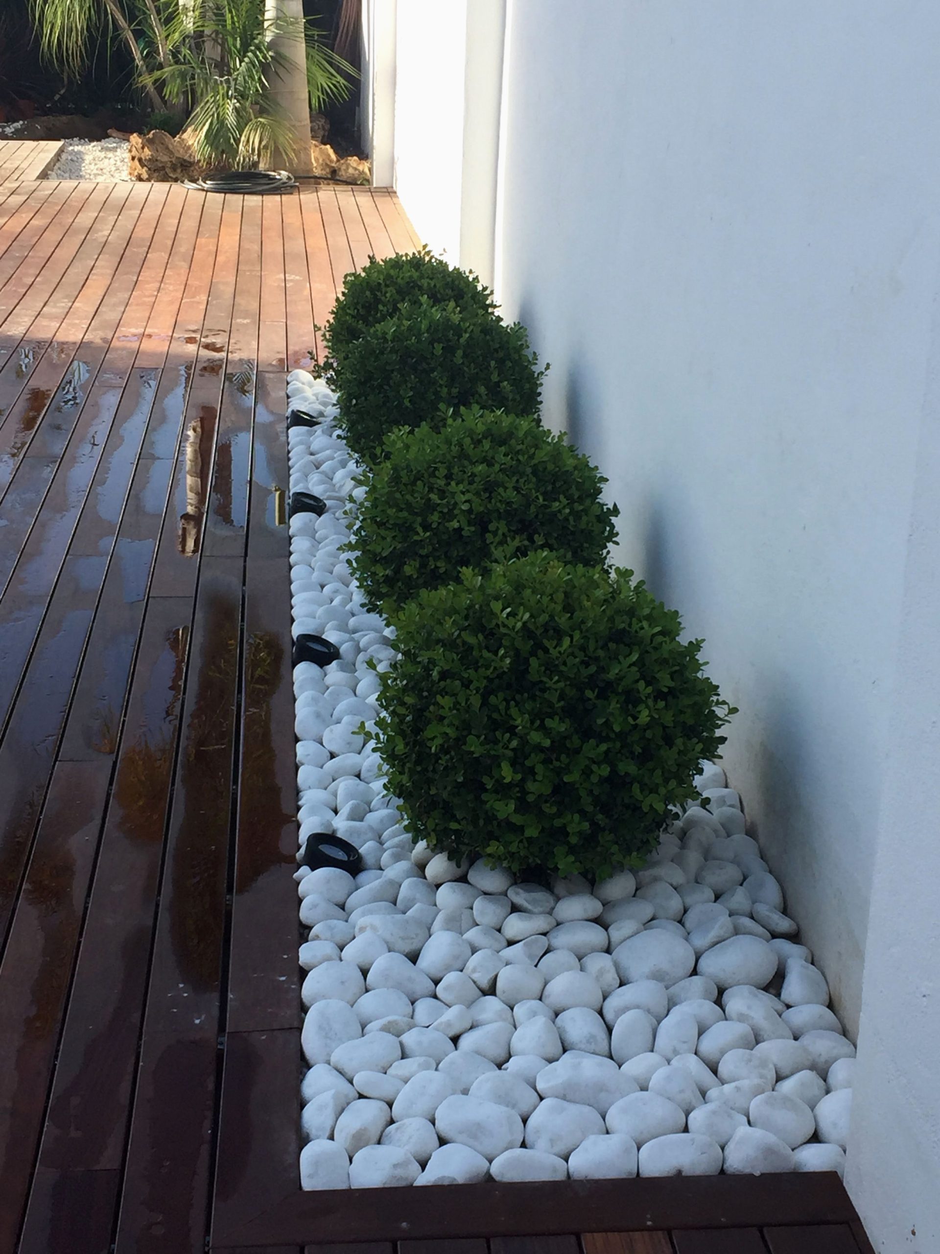 dream-garden-salon-de-jardin-rare-idea-for-front-garden-fences-de-dream-garden-salon-de-jardin-scaled.jpg