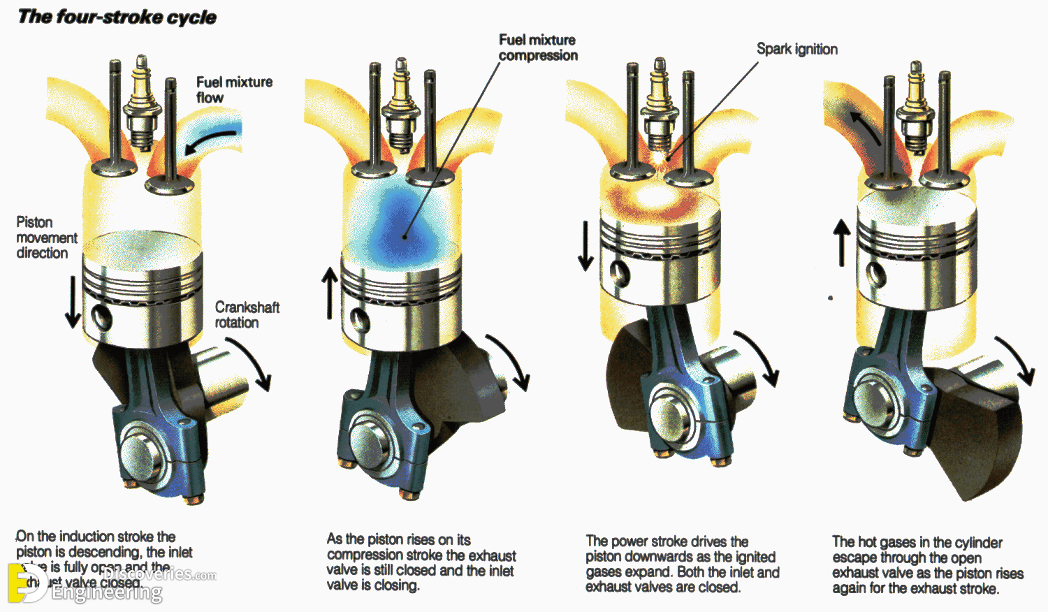 image_search_1557364914876.png