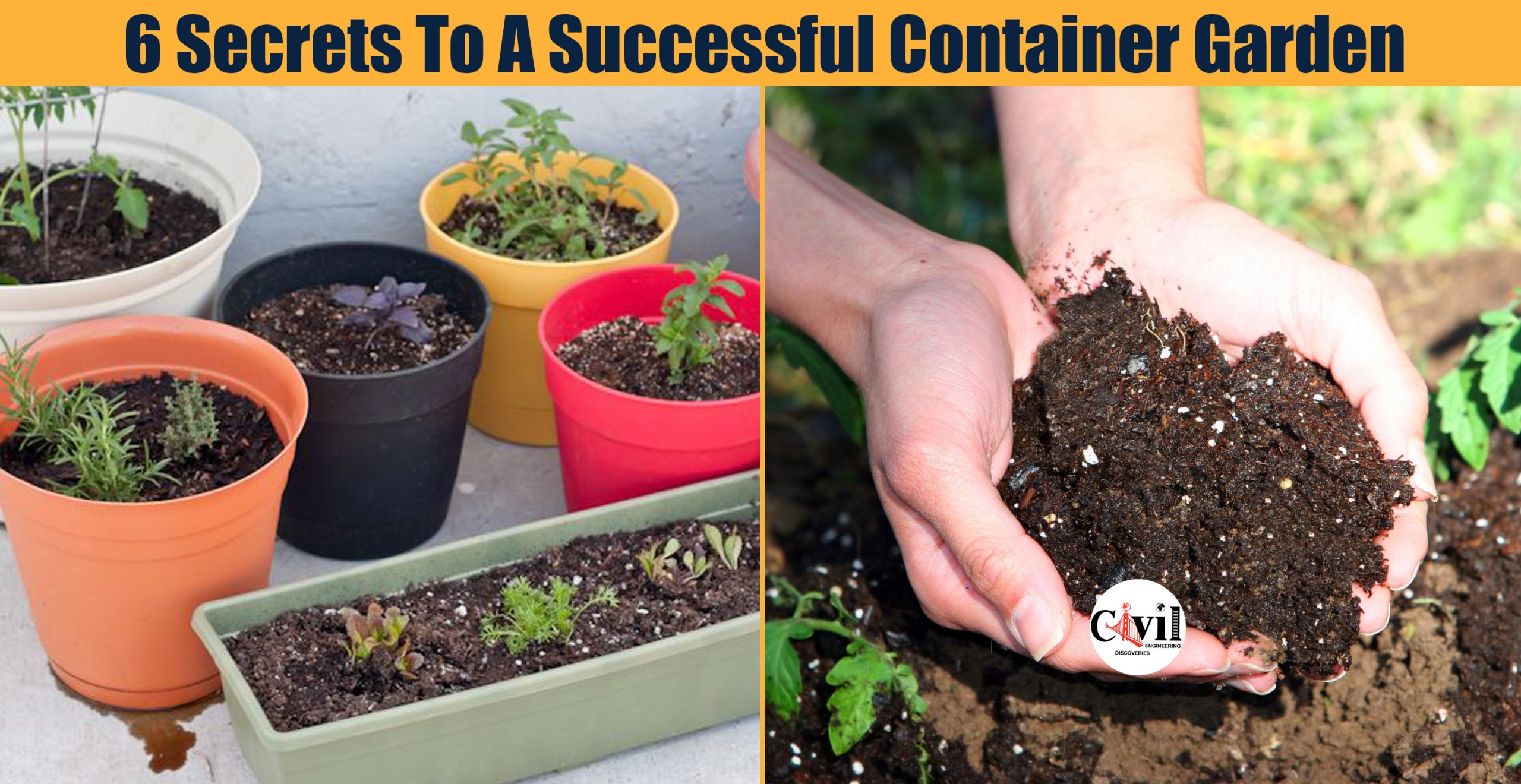 The Secrets to Successful Container Gardening