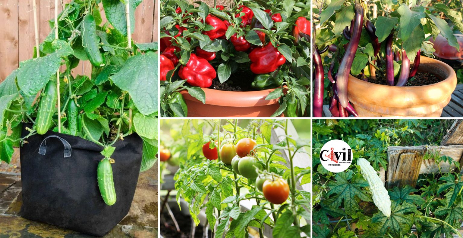 8 Best Summer Vegetables To Grow In Pots Engineering Discoveries
