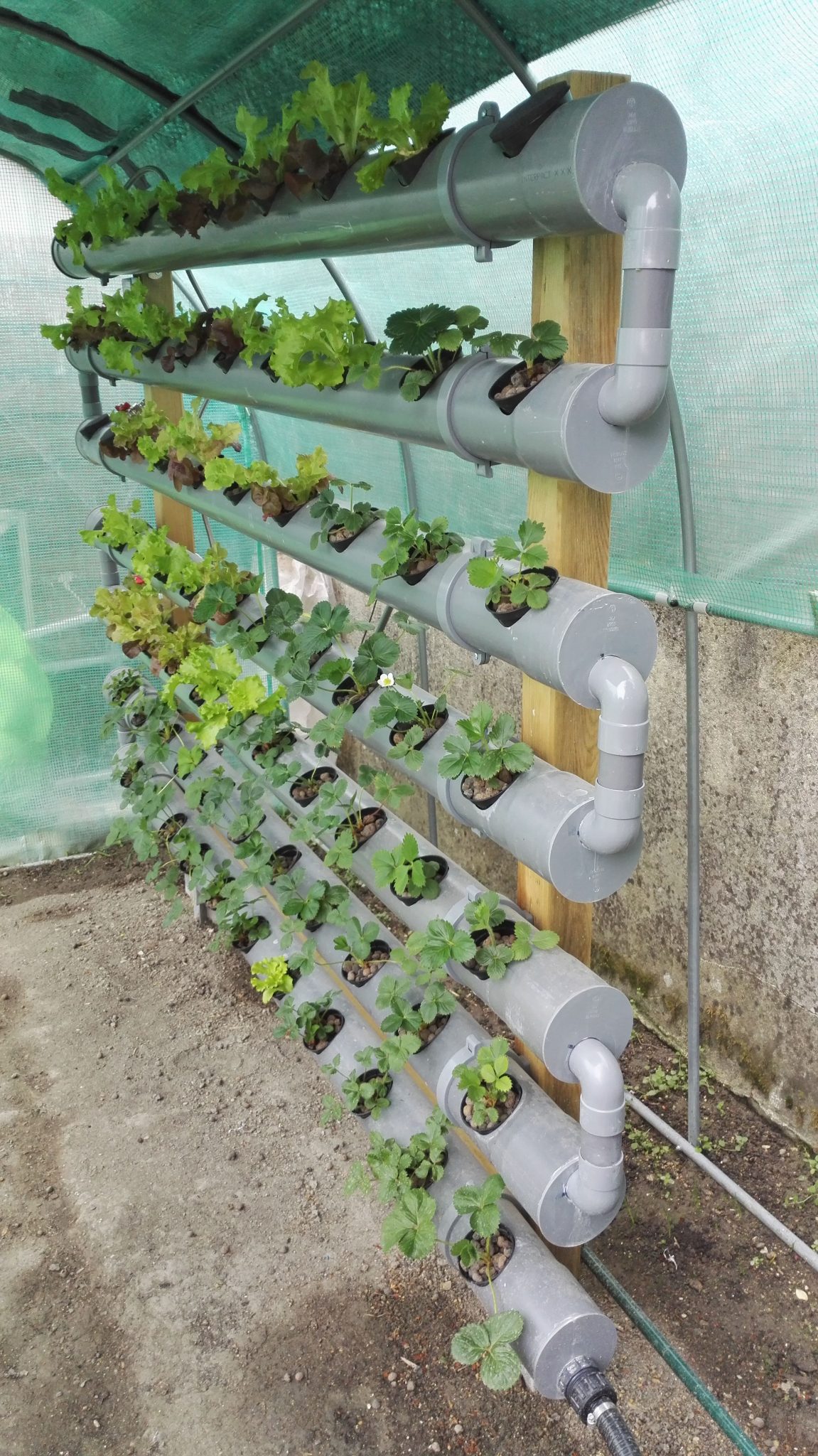 35+DIY Gardening Projects Made With PVC Pipes | Engineering Discoveries