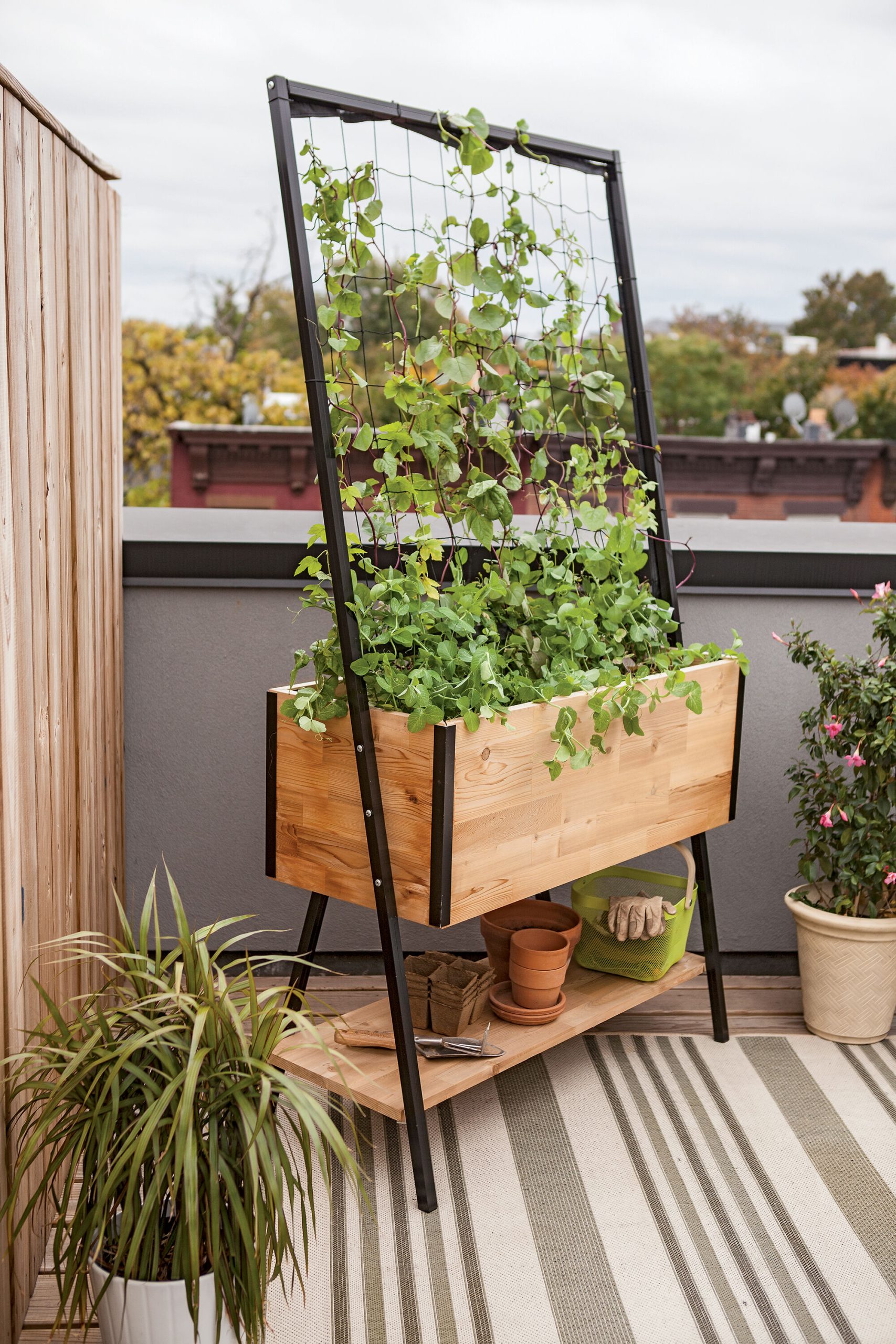 8591390_4669_apex-trellis-planter-scaled.jpg