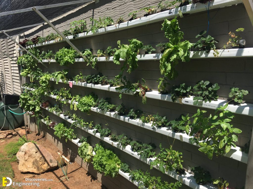 35+DIY Gardening Projects Made With PVC Pipes Engineering Discoveries