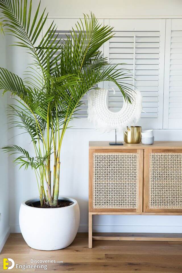 Natural-Plants-with-Tropical-Sideboard-Rattan-Decor.jpg