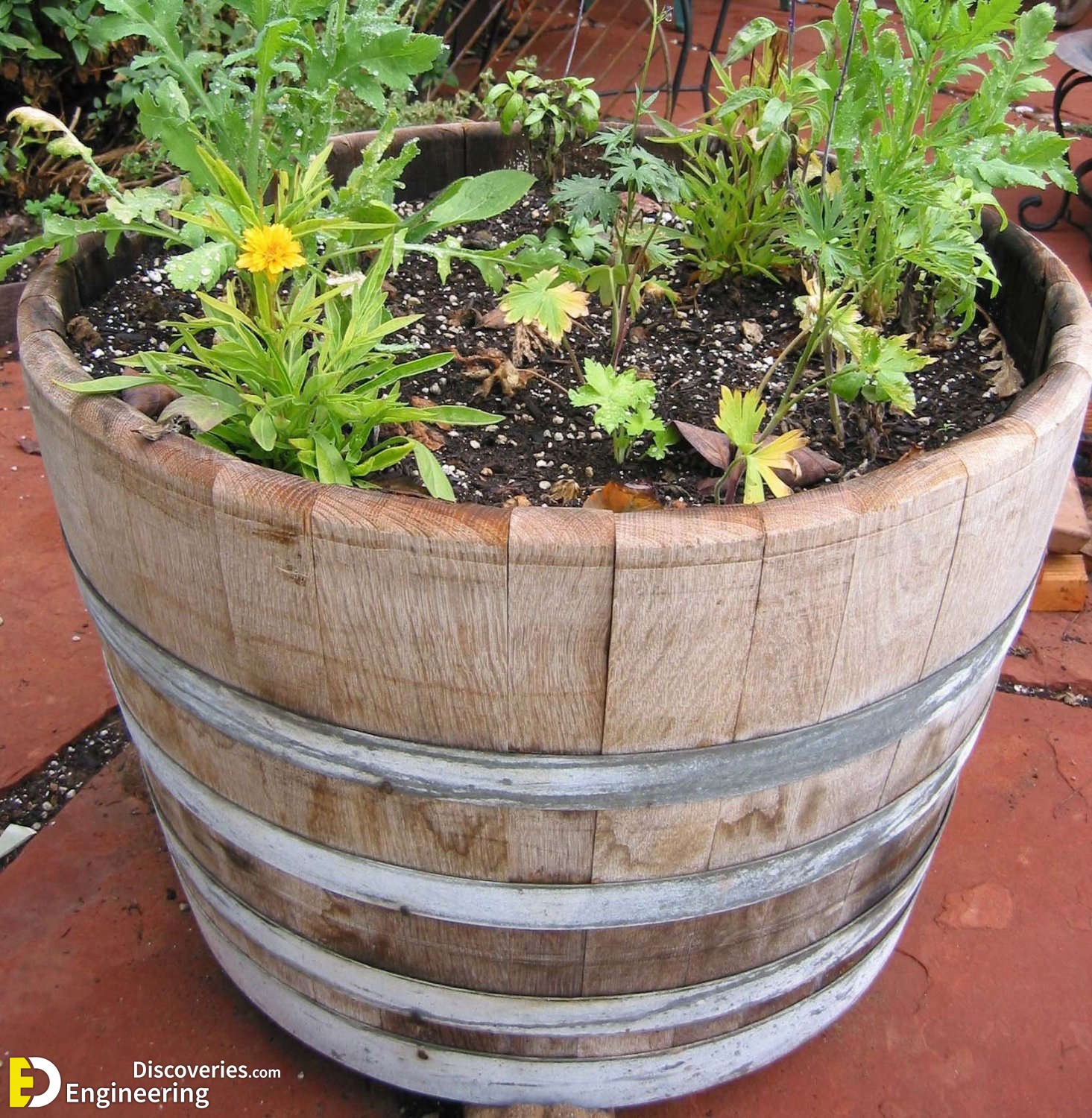 halfwinebarrelplanter-3348.jpg