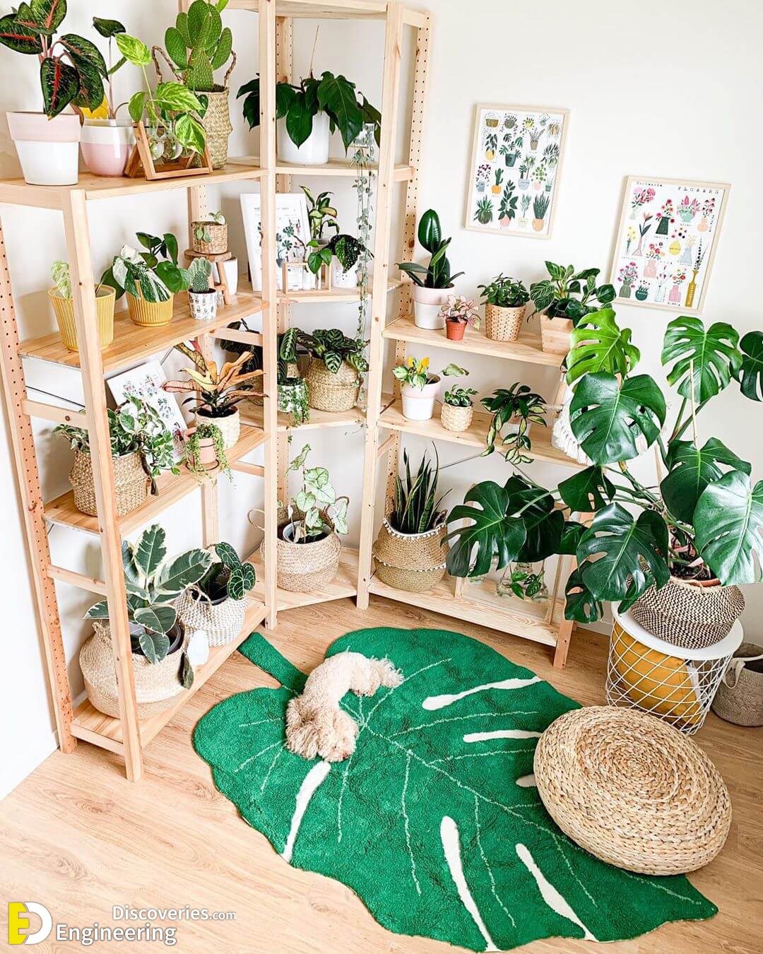 home-plant-decor-stylish-ways.jpg