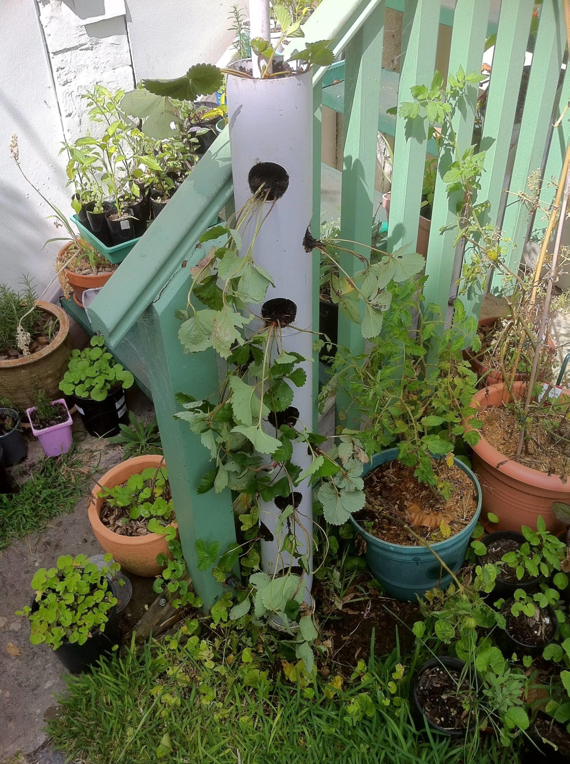 make-vertical-strawberry-tube-planter-urban-958884-scaled.jpg