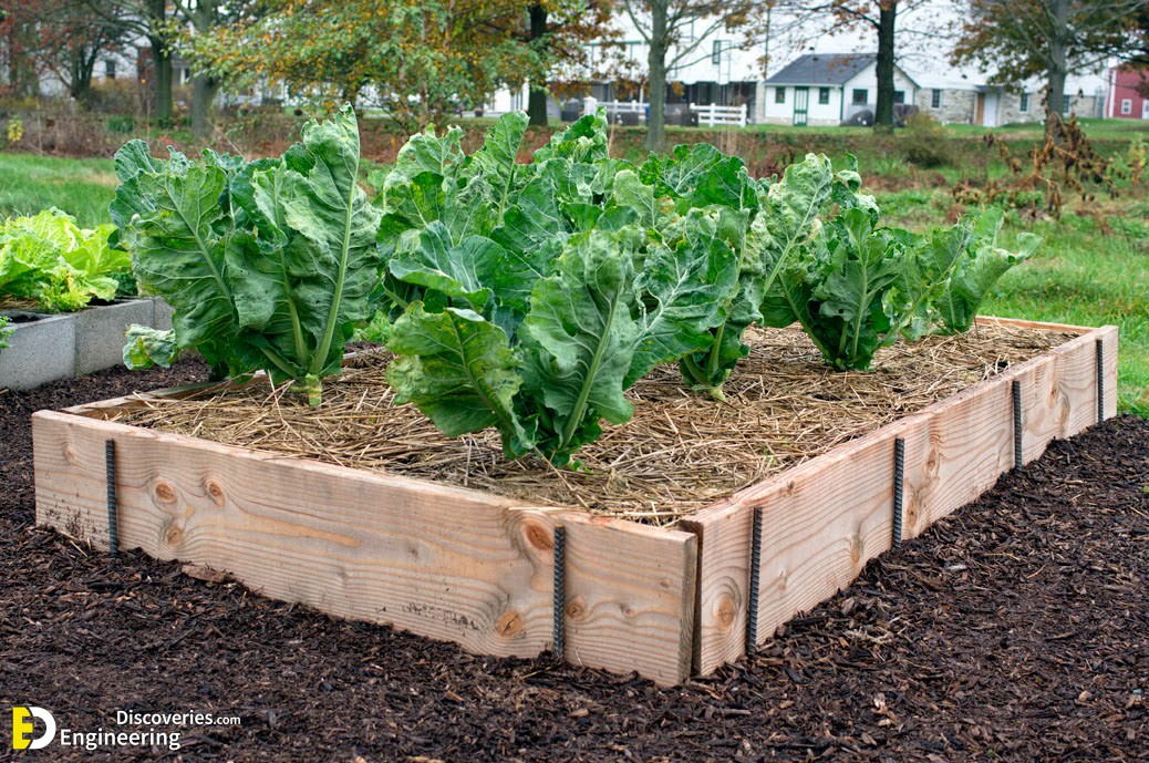 raised-bed-planks.jpg
