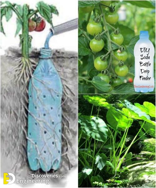 Pet-Bottle-Recycling-Ideas-1.jpg