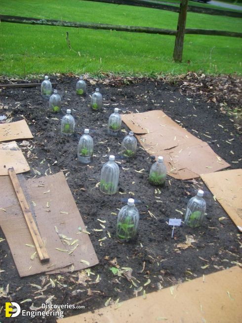 Pet-Bottle-Recycling-Ideas-17.jpg