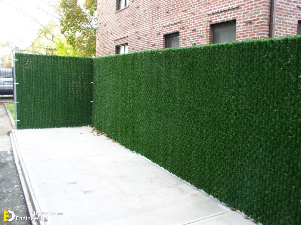 hedge-fence1.jpg