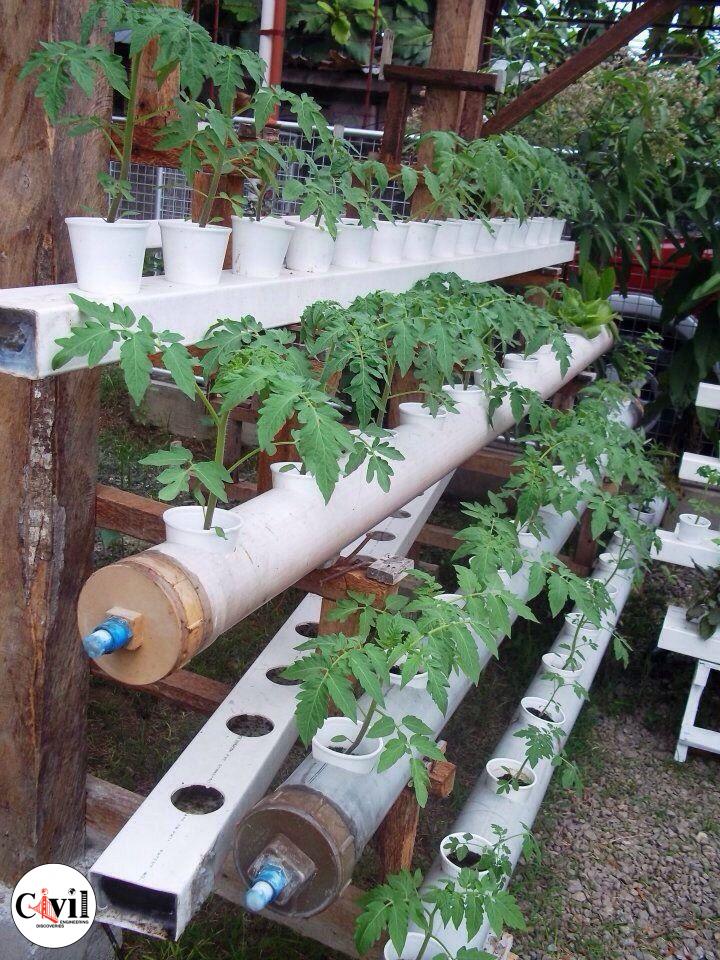 31+PVC Pipe Project Ideas For Garden Engineering Discoveries