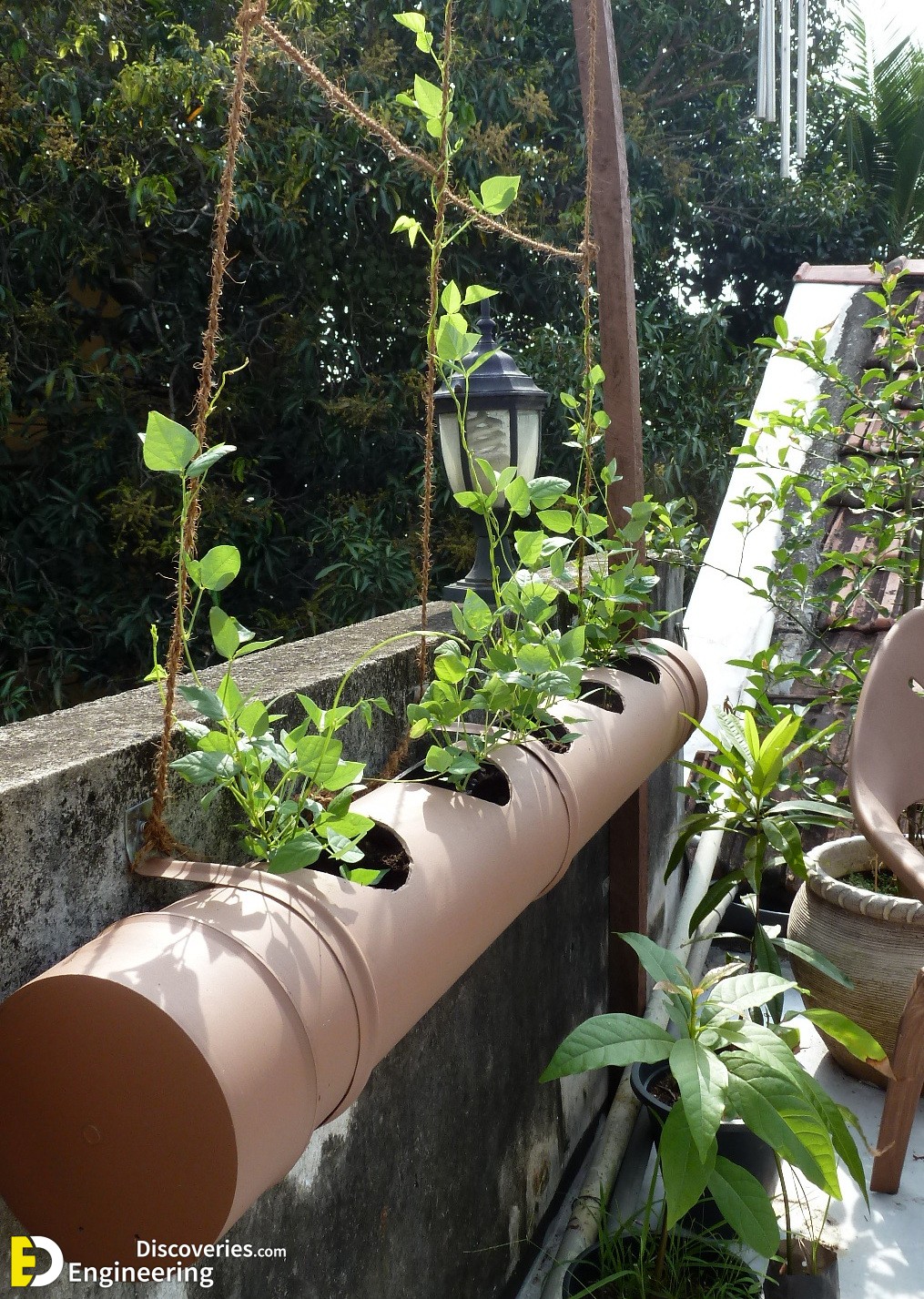 10-P1020893.jpg