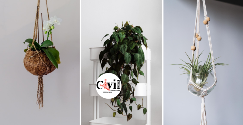 Top 10 Best Indoor Hanging Plants | Engineering Discoveries