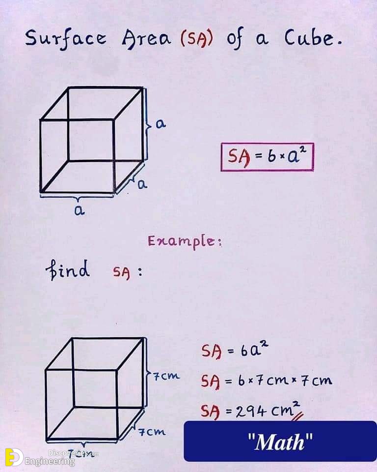 241455367_6017168605020682_3485015483672612873_n.jpg