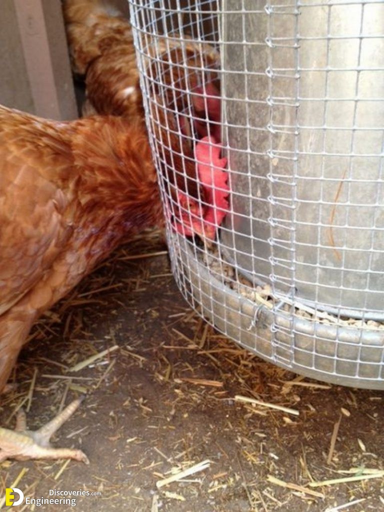 Clever-Solutions-Reduce-Chicken-Feed-Waste-13-768x1024-1.jpg