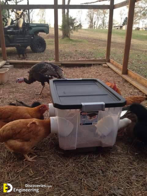 Clever-solutions-to-reduce-chicken-feed-waste-14.jpg