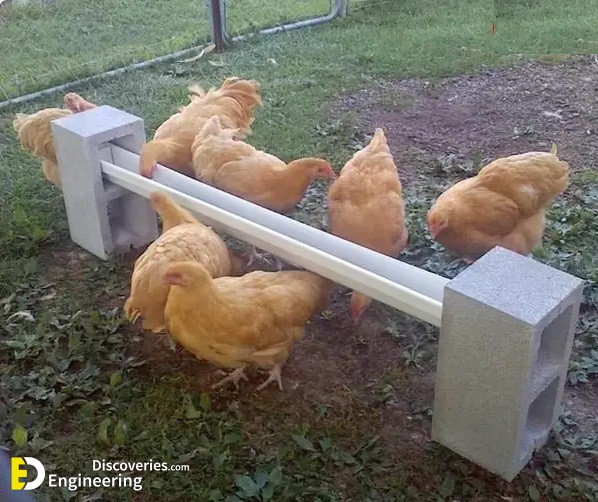 Clever-solutions-to-reduce-chicken-feed-waste-18.jpg