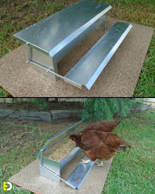 Clever-solutions-to-reduce-chicken-feed-waste-3.jpg