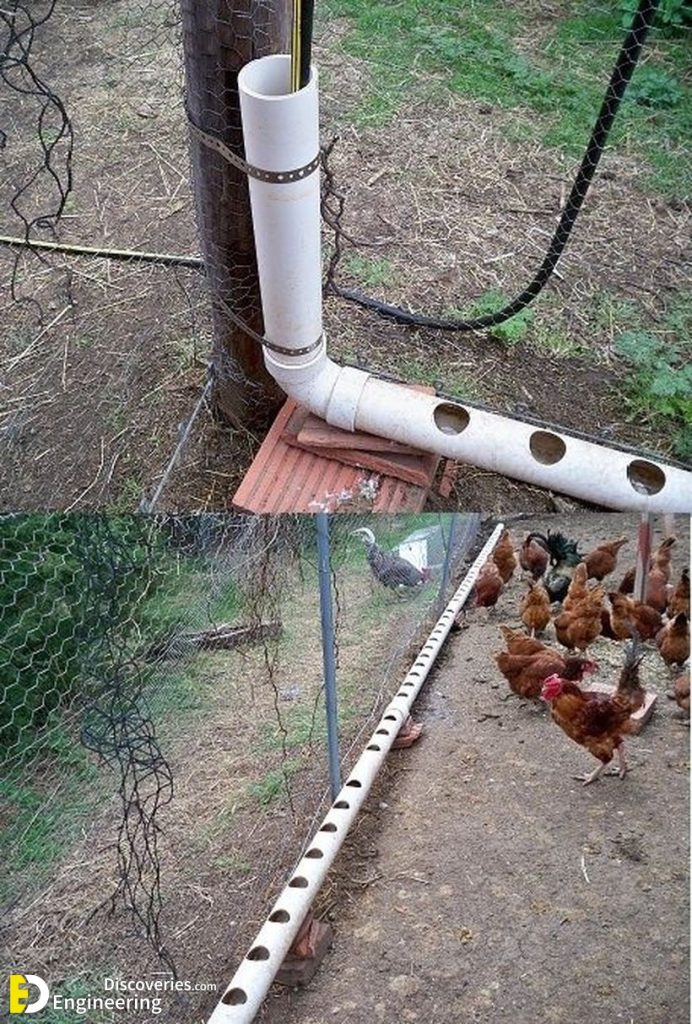 Clever Solutions To Reduce Chicken Feed Waste Engineering Discoveries